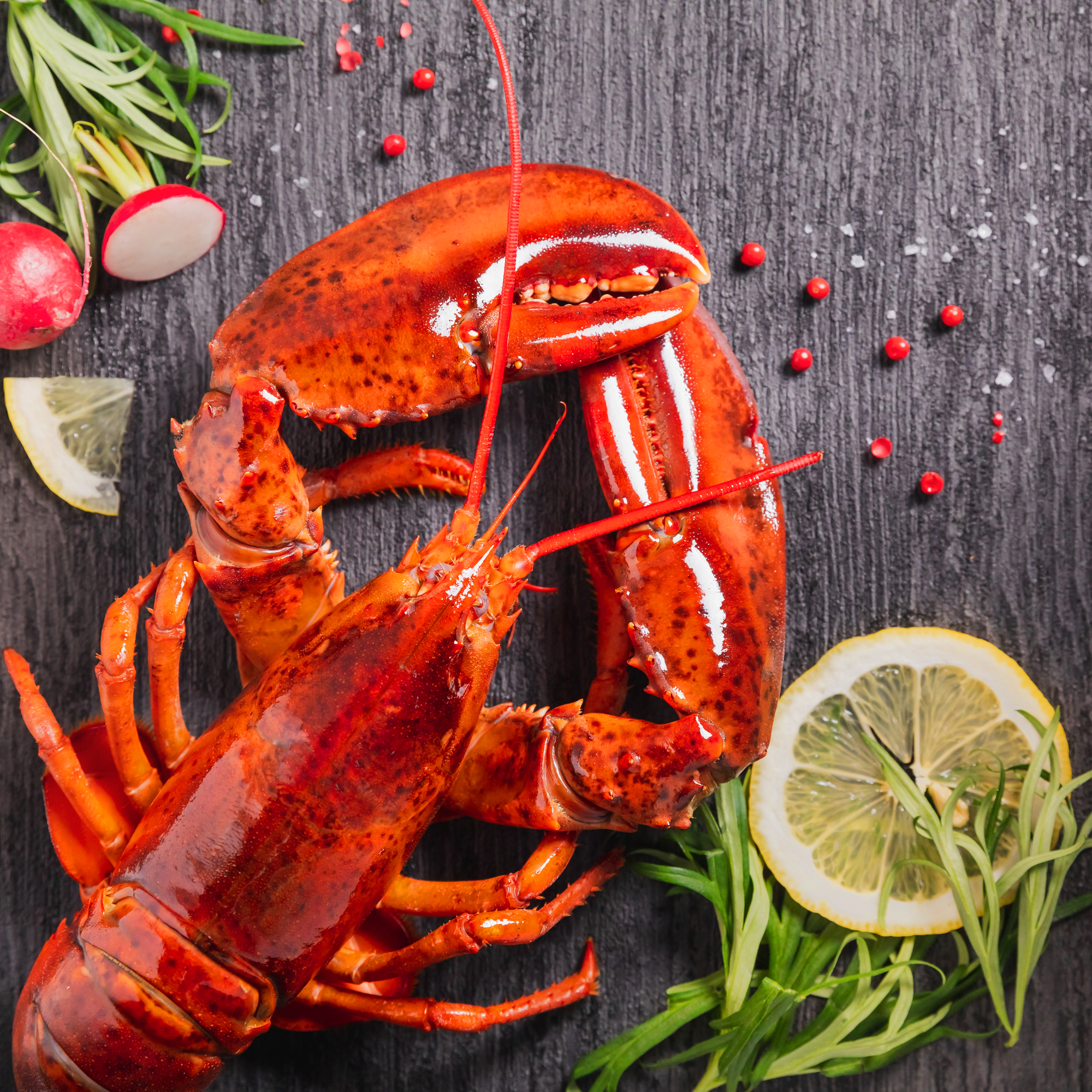 【百花籠】レストラン清雅『Homard Nouveau Fete2026』イベント開催　ー 2026年6月25日(木)/26日(金)開催 ー　※株主優待券ご利用可